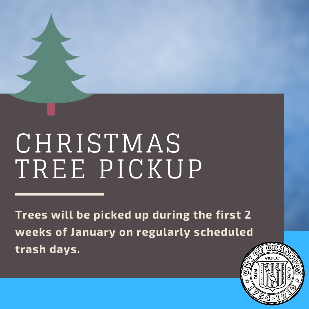 Christmas Tree Pickup